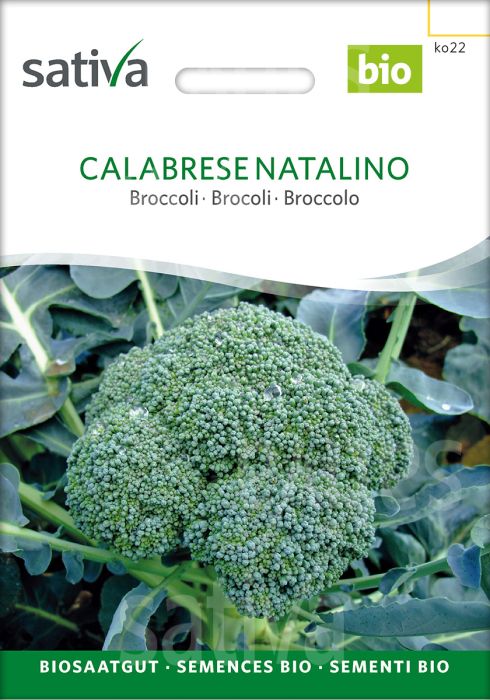 NATALINO online organic Buy Shop / CALABRESE Broccoli seeds - SATIVA Online »