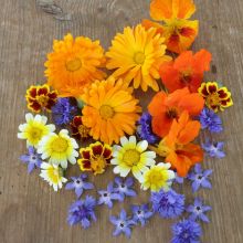 EDIBLE FLOWERS – buy organic seeds online - SATIVA Online Shop