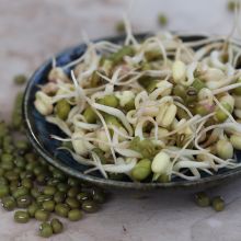 Mung bean (sprouts)
