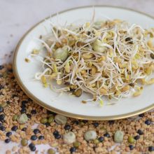 Power Sprouts Mix (sprouts)