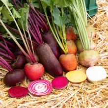 COLOURFUL BEETROOTS